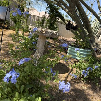 Moon Valley Nurseries - Nurseries & Gardening Near Me - Peoria, Arizona
