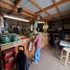 Long Acres Farm gift card