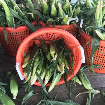 Chase's Produce - a basket of corn - Farmers Market Near Me - Davidsonville, Maryland Chase's Produce - a basket of corn - Farmers Market Near Me - Davidsonville, Maryland