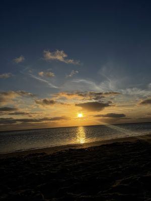 Crandon Park by null