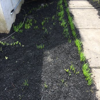 Workhorse Landscaping - a patch of black mulch next to a sidewalk - Snow Removal Near Me Workhorse Landscaping - a patch of black mulch next to a sidewalk - Snow Removal Near Me