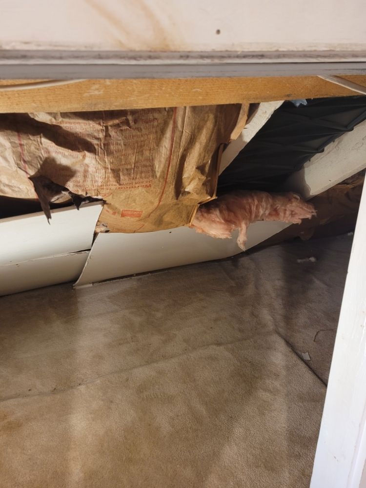 DIRECT IMPACTS ENTERPRISE Boston, Massachusetts Painters Phone