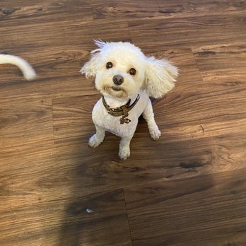 Petco - Pet Stores Near Me - Salt Lake City, Utah