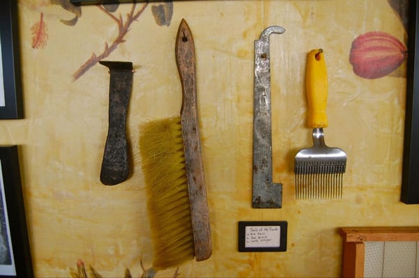 Big Island Bees by null