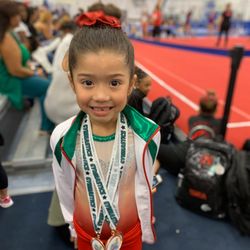Gymnastics Palace - Team gymnast - medals