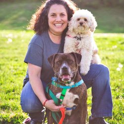 High Hopes Dog Training