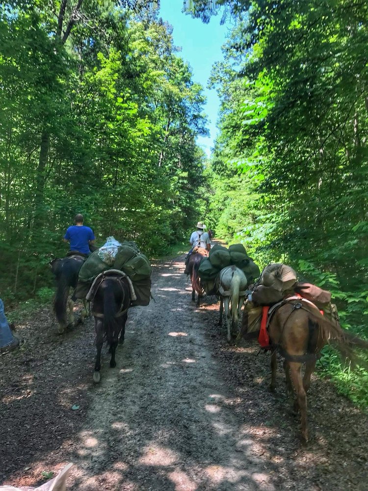 Southeast Pack Trips - equestrian in Jamestown, TN