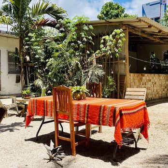 Suculenta Tamalería - Vegan Near Me - Tulum, ROO