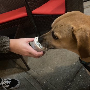 Flamme Burger - Keystone - Pup cup - Burgers Near Me - Indianapolis, Indiana Flamme Burger - Keystone - Pup cup - Burgers Near Me - Indianapolis, Indiana