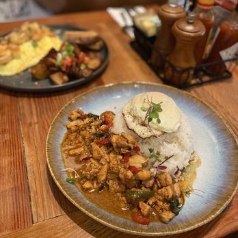 Tutu Lounge - Spicy Basil Chicken Plate - Breakfast & Brunch Near Me - San Rafael, California Tutu Lounge - Spicy Basil Chicken Plate - Breakfast & Brunch Near Me - San Rafael, California