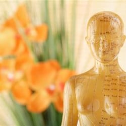 TRUE LA Acupuncture & Wellness - Acupuncture Model