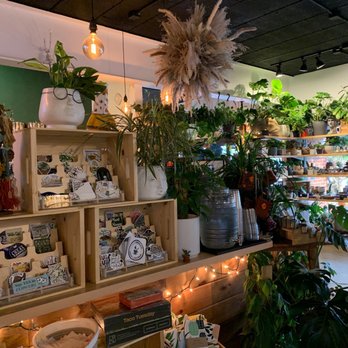 Cafe Conmigo - Gifts and plants - Coffee & Tea Near Me - Wexford, Pennsylvania Cafe Conmigo - Gifts and plants - Coffee & Tea Near Me - Wexford, Pennsylvania