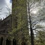 Photo of St Lukes & Christ Church