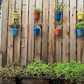 Hungry Crowd - Cute plants on patio - New American Near Me - Los Angeles, California Hungry Crowd - Cute plants on patio - New American Near Me - Los Angeles, California