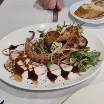 Via Vite - Octopus - Italian Near Me - Cincinnati, Ohio Via Vite - Octopus - Italian Near Me - Cincinnati, Ohio