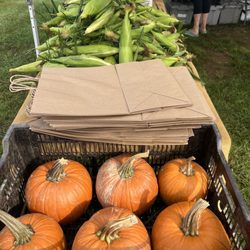 Crystal Springs Farm Farmers Market - Lots of good stuff!