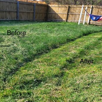 Clean Mowing - This yard was thick, but it was no match for the electric mower. It kicked into turbo and got the job done quickly. - Tree Services Near Me Clean Mowing - This yard was thick, but it was no match for the electric mower. It kicked into turbo and got the job done quickly. - Tree Services Near Me
