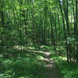 Stockport-Greenport Trail