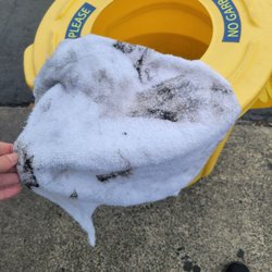 Brown Bear Car Wash - Dirty from wiping down the sunroof
