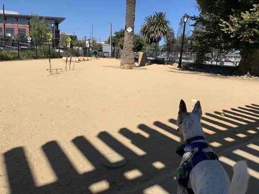 Main Street Dog Agility Park