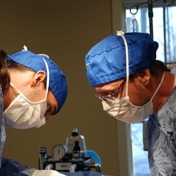 Advanced Veterinary Care Group - Surgeons Dennis Elmer and Eric Larsen - Veterinarians Near Me - Canton, Michigan Advanced Veterinary Care Group - Surgeons Dennis Elmer and Eric Larsen - Veterinarians Near Me - Canton, Michigan