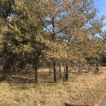 Ray Roberts Lake State Park - Parks Near Me - Pilot Point, Texas