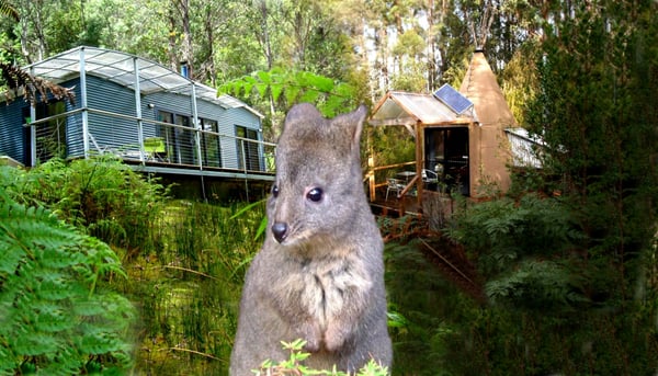 Huon Bush Retreats by null