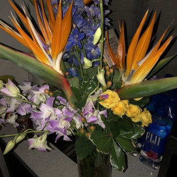 Peachtree Petals - Tropical but worth the $$? - Florists Near Me - Atlanta, Georgia Peachtree Petals - Tropical but worth the $$? - Florists Near Me - Atlanta, Georgia