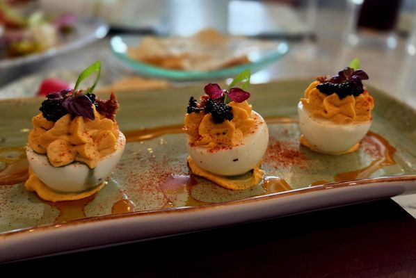 Succulent Fine Dining by null