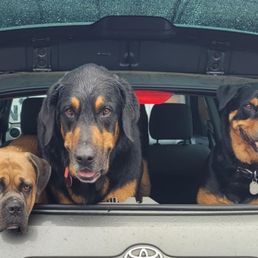 My three boys being extremely happy that they came to their favorite restaurant with their mommy and daddy.
