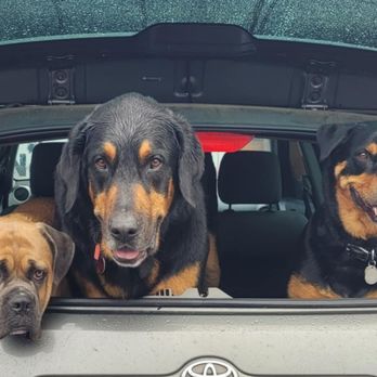 Little Jerry's - My three boys being extremely happy that they came to their favorite restaurant with their mommy and daddy. - Breakfast & Brunch Near Me - Tacoma, Washington