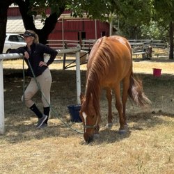 Sacramento Horsemen's Association - SHA