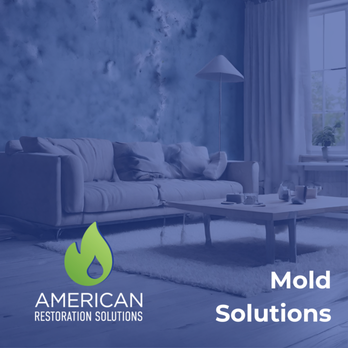 American Restoration Solutions - Does your property, commercial or residential have a mold problem? Call us for a complete mold removal and cleanup. - Damage Restoration Near Me - Plainview, New York