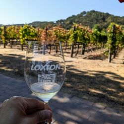 Loxton Cellars - Wine tasting. Our first stop on our Platypus Wine Tour.