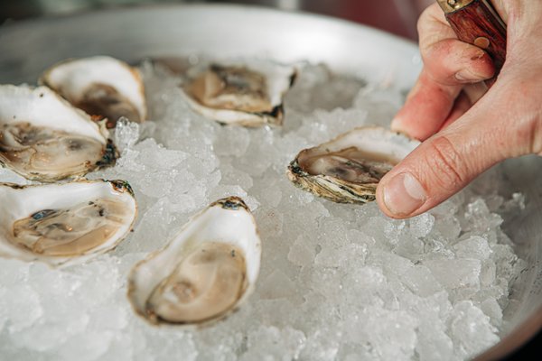 Miami Shores Fish Market "The Shores" by null