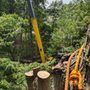 Skruck Tree Solutions