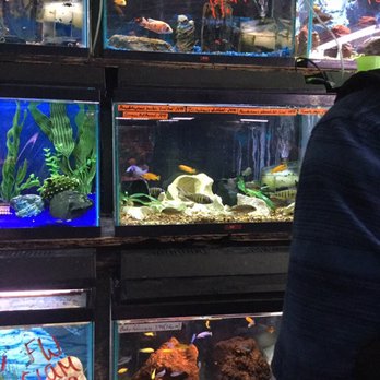 Absolutely Fish - Aquarium Services Near Me - Clifton, New Jersey