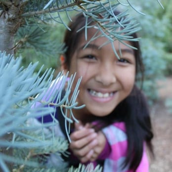 Peacock Tree Farm - Don't forget to use this Christmas tree forest as a photo opportunity - Nurseries & Gardening Near Me - Los Gatos, California Peacock Tree Farm - Don't forget to use this Christmas tree forest as a photo opportunity - Nurseries & Gardening Near Me - Los Gatos, California