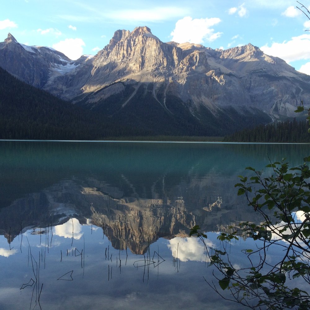 Cilantro on the Lake - Stunning Emerald Lake. The view from this restaurant is second to none! - Canadian (New) Near Me - Field, British Columbia