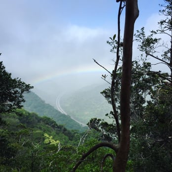 Aiea Loop Trail - Hiking Near Me - Aiea, Hawaii