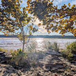 Falls of the Ohio State Park
