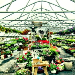 Gardens To Go - Beautiful Gardens to Go greenhouse.
