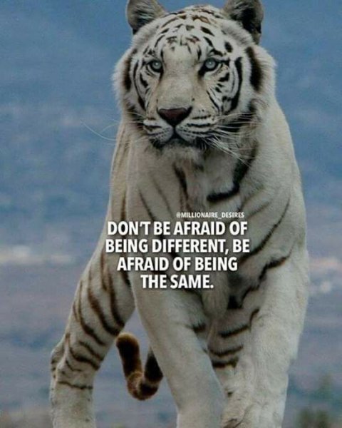 Real Supervision and Counseling Services - grief counselor in Jersey City, NJ