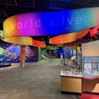 Discovery Place Science - Museums Near Me - Charlotte, North Carolina