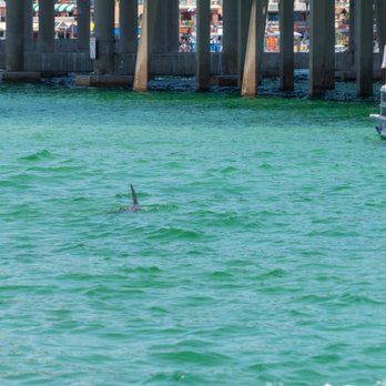 Top Shelf Tikis - Boat Tours Near Me - Destin, Florida Top Shelf Tikis - Boat Tours Near Me - Destin, Florida