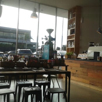 Black & Gold - Coffee & Tea Near Me - Auckland, AUK