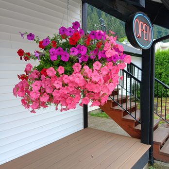 Harrison Corner Cafe - Cafes Near Me - Harrison Hot Springs, British Columbia