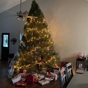 Rye Farms - My huge tree - Christmas Trees Near Me - Nuevo, California Rye Farms - My huge tree - Christmas Trees Near Me - Nuevo, California