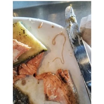 Fresco - Salmon with worms from inside stuffing! Was told it was part of the stuffing and luckily I took pictures - Italian Near Me - West Warwick, Rhode Island