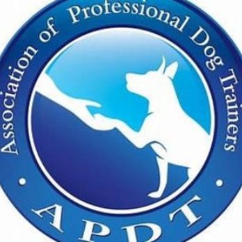 Dog Training with Tara Martice - Professional Member of The Association of Professional Dog Trainers - Pet Training Near Me Dog Training with Tara Martice - Professional Member of The Association of Professional Dog Trainers - Pet Training Near Me